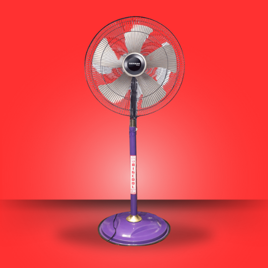 Fan