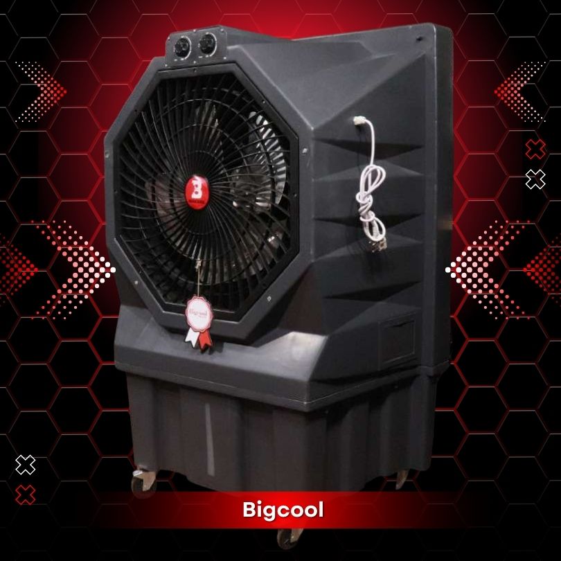 BIGBULL 20"